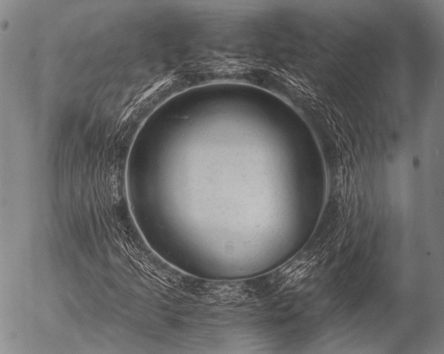 X0000057081205200509161555