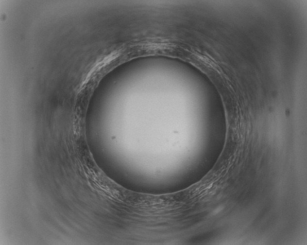 X0000057081207200509161555