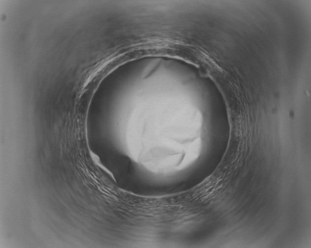 X0000057081208200509161555