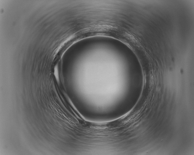 X0000057081210200509161555