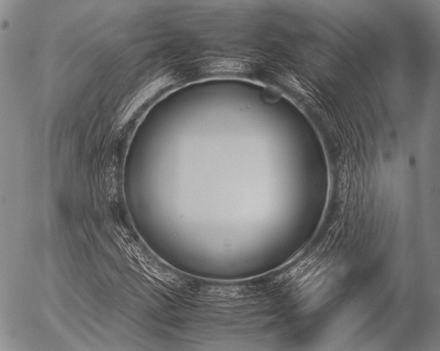 X0000057081211200509161555