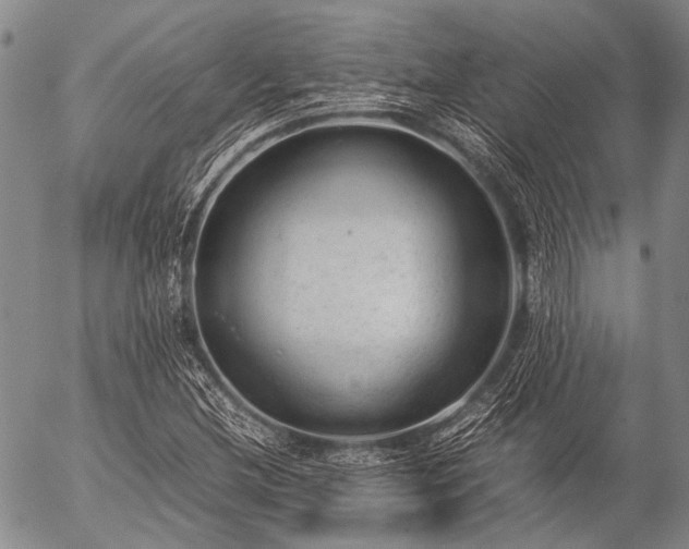 X0000057081212200509161555