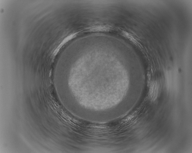 X0000057081213200509161555