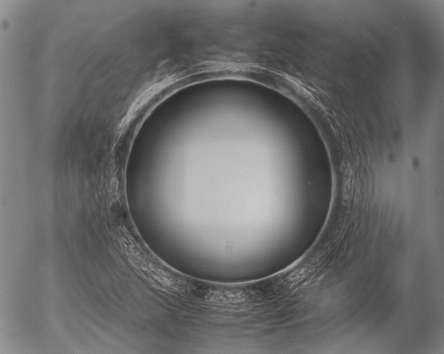 X0000057081215200509161555