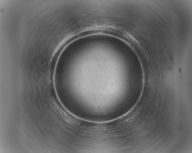 X0000057081216200509161555