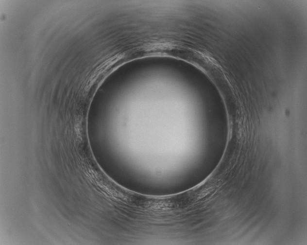 X0000057081217200509161555