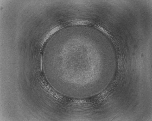 X0000057081219200509161555