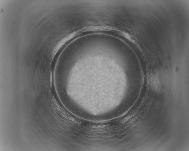 X0000057081221200509161555