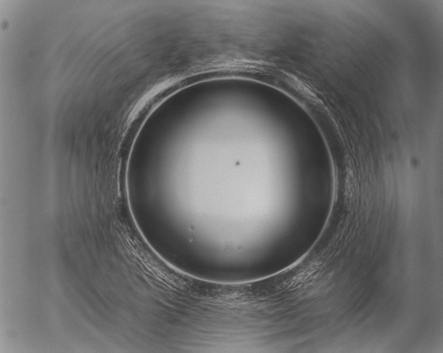 X0000057081222200509161555