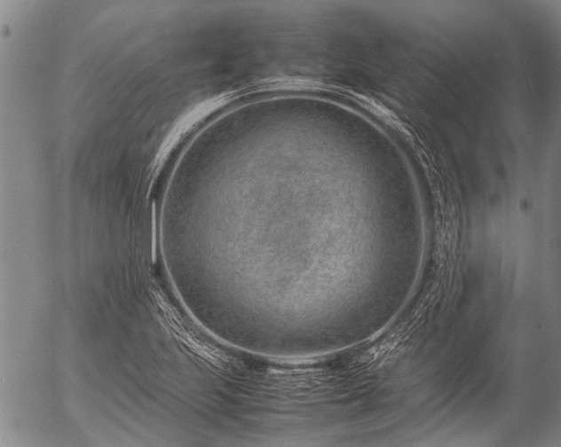 X0000057081223200509161556