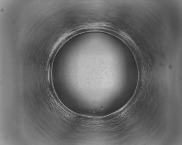 X0000057081224200509161556