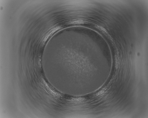 X0000057081225200509161556