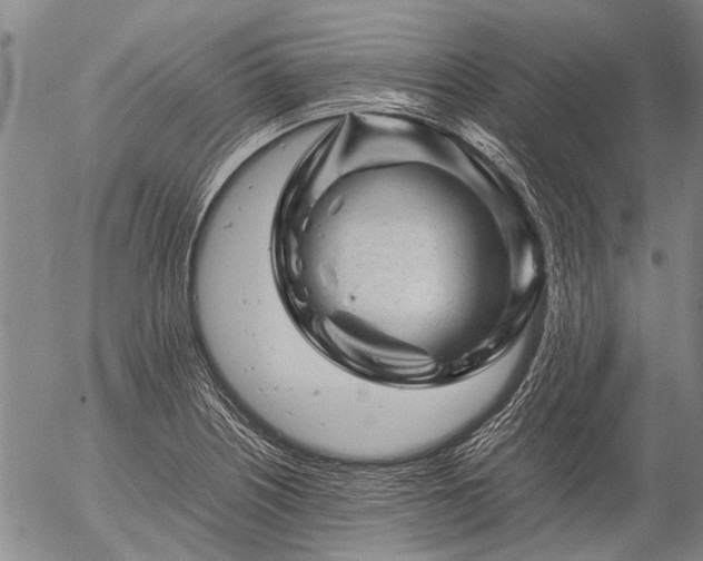 X0000057081226200509161556