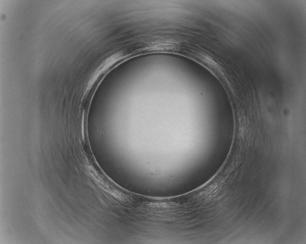 X0000057081227200509161556