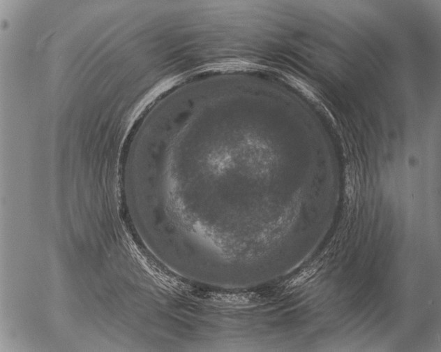 X0000057081229200509161556