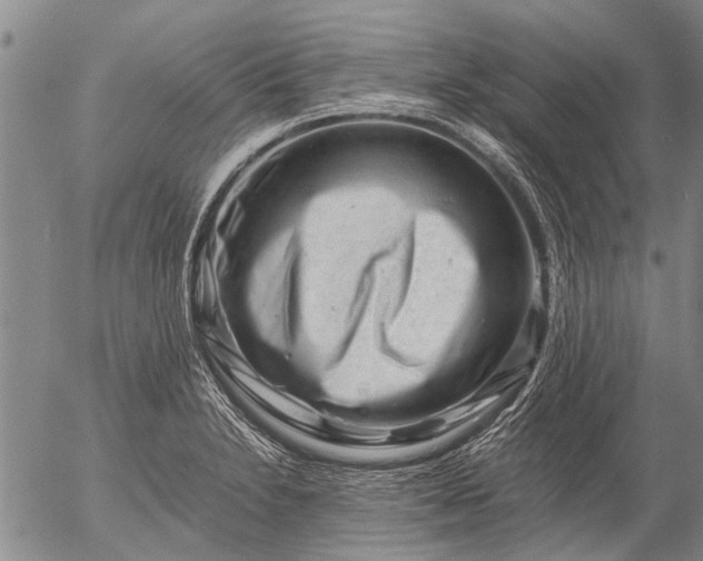 X0000057081230200509161556