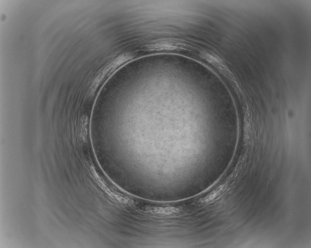 X0000057081233200509161556