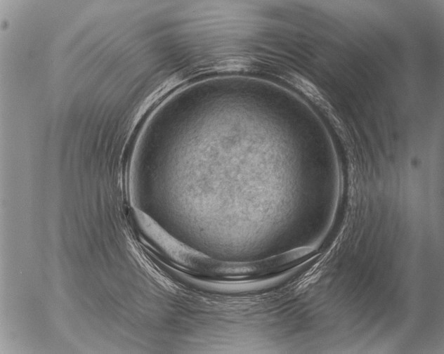 X0000057081234200509161556