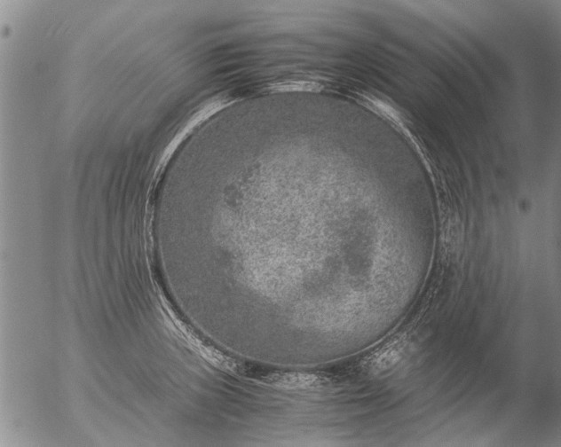 X0000057081235200509161556