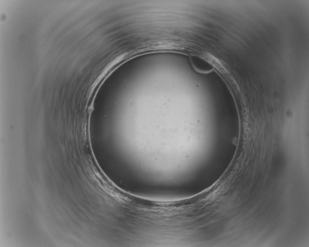 X0000057081236200509161556