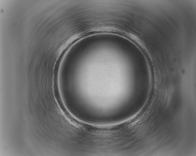 X0000057081237200509161556