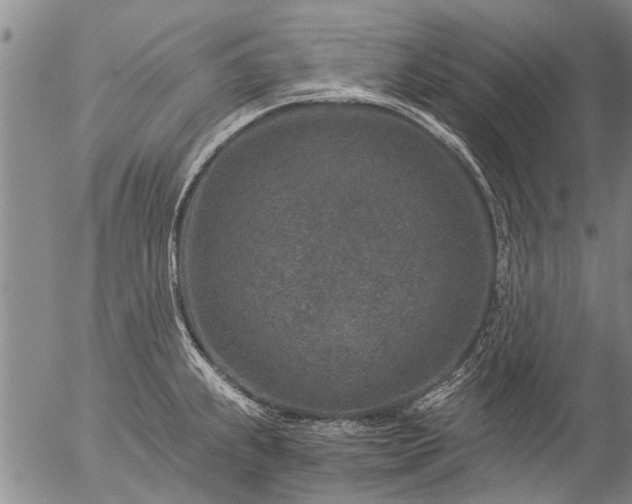 X0000057081239200509161556