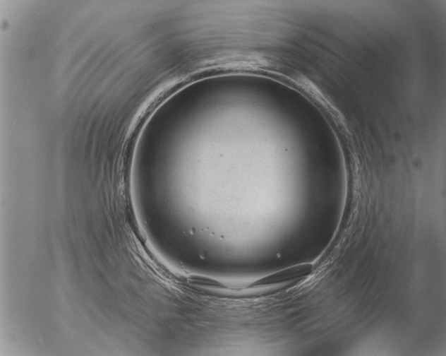 X0000057081240200509161556