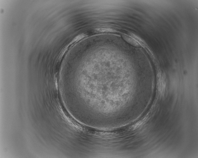 X0000057081241200509161556