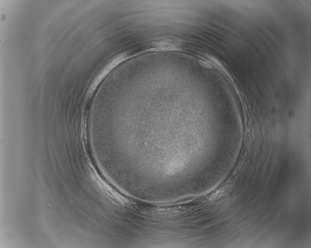 X0000057081243200509161556