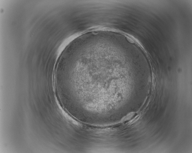 X0000057081247200509161556