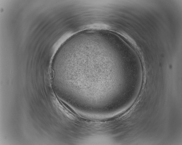 X0000057081248200509161556