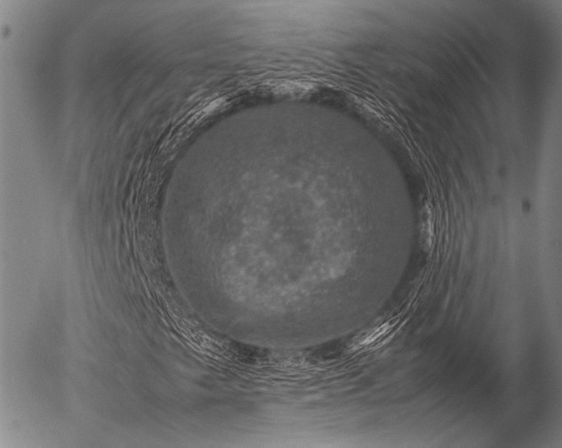 X0000057081249200509161555