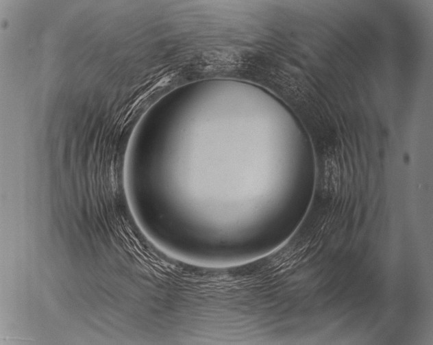 X0000057081250200509161555