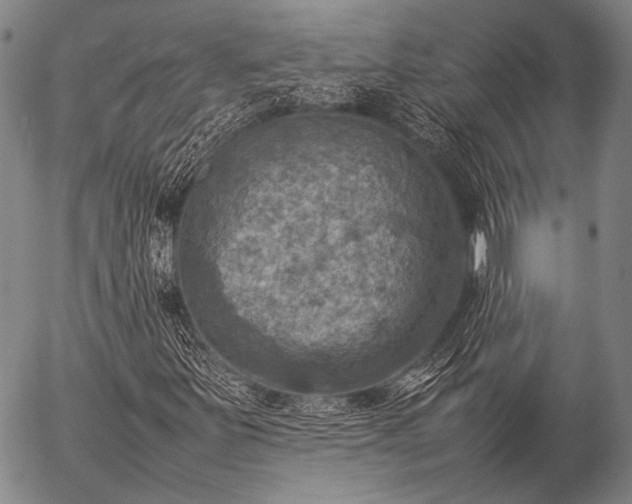 X0000057081251200509161555