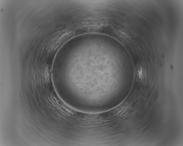 X0000057081252200509161555