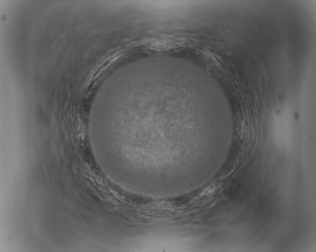 X0000057081253200509161555