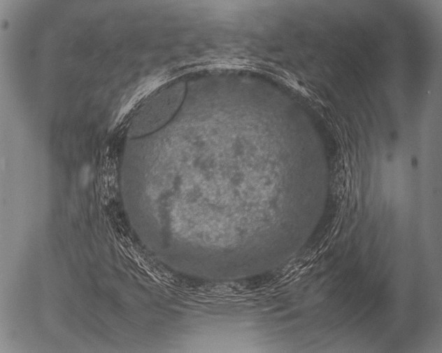 X0000057081255200509161555