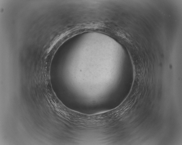 X0000057081256200509161555