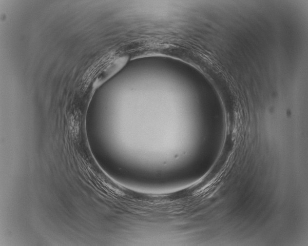 X0000057081257200509161555