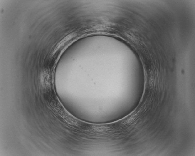 X0000057081258200509161555