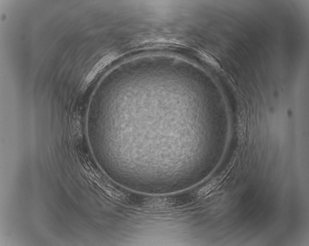 X0000057081259200509161555