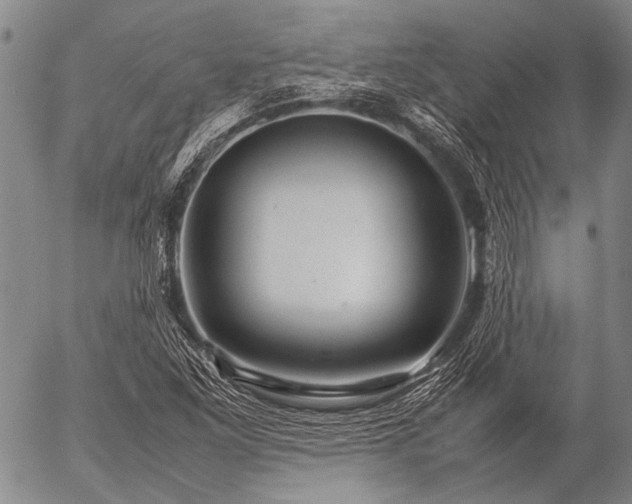 X0000057081261200509161555