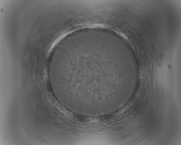 X0000057081263200509161555