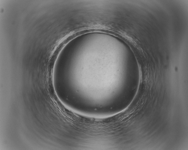 X0000057081264200509161555