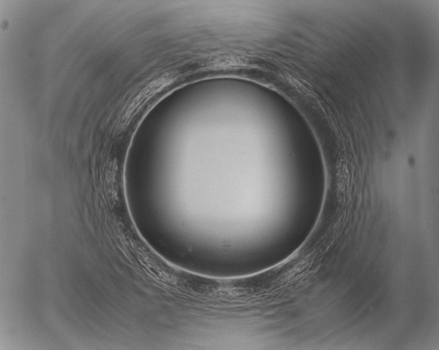 X0000057081265200509161555