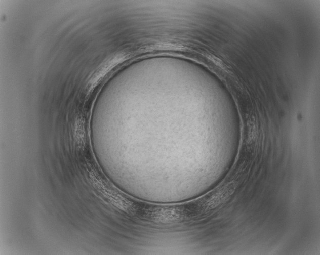 X0000057081266200509161555