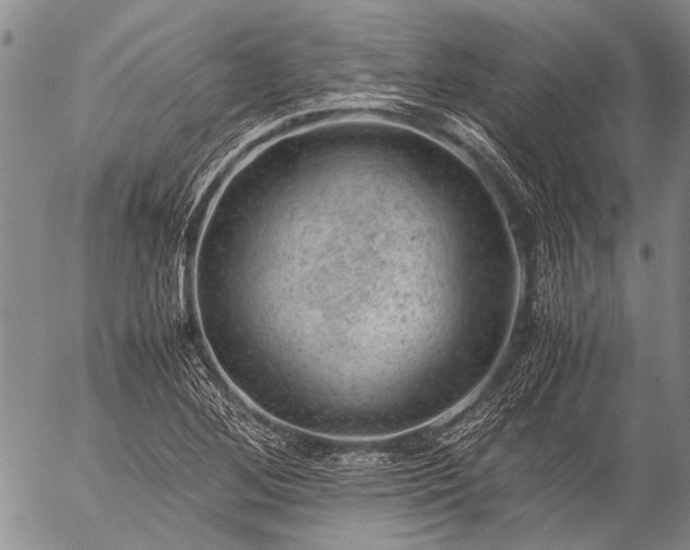 X0000057081268200509161555