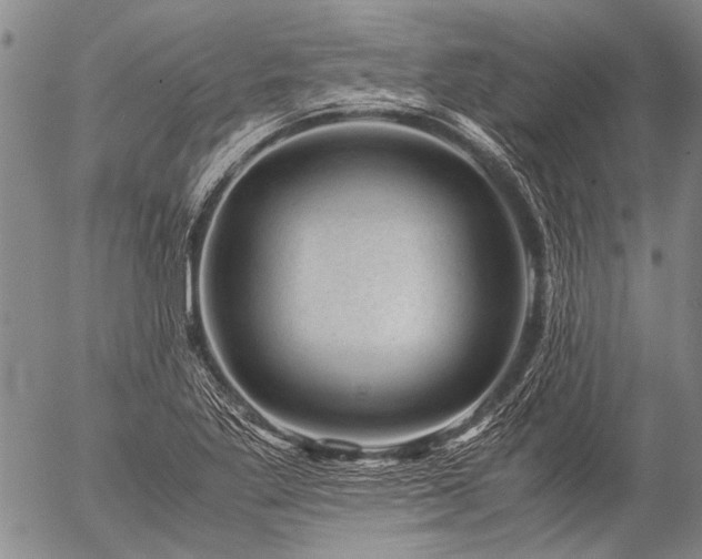 X0000057081269200509161555