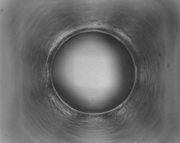 X0000057081270200509161555