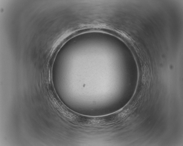 X0000057081271200509161555